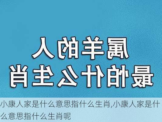 小康人家是什么意思指什么生肖,小康人家是什么意思指什么生肖呢