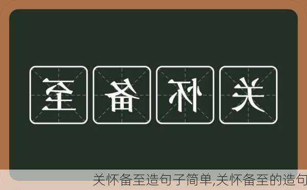 关怀备至造句子简单,关怀备至的造句