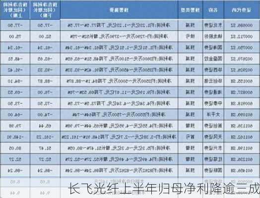 长飞光纤上半年归母净利降逾三成