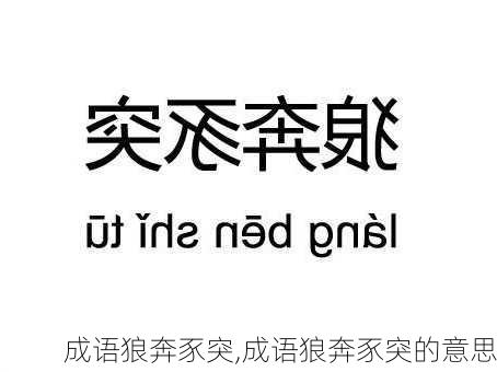 成语狼奔豕突,成语狼奔豕突的意思