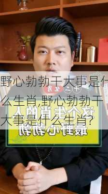 野心勃勃干大事是什么生肖,野心勃勃干大事是什么生肖?