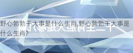 野心勃勃干大事是什么生肖,野心勃勃干大事是什么生肖?