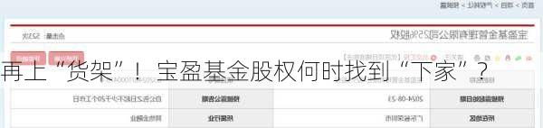 再上“货架”！宝盈基金股权何时找到“下家”？