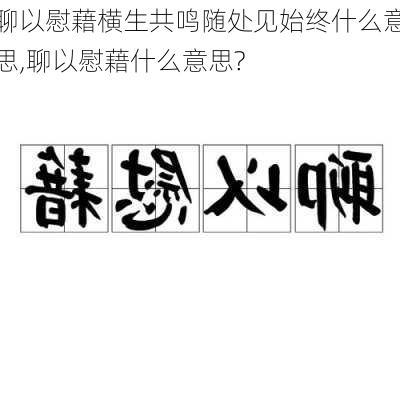 聊以慰藉横生共鸣随处见始终什么意思,聊以慰藉什么意思?