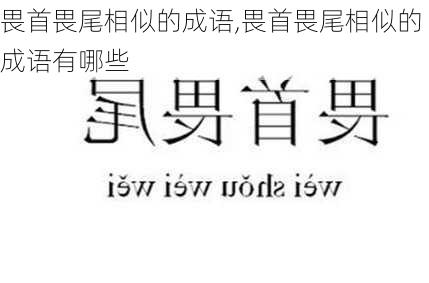 畏首畏尾相似的成语,畏首畏尾相似的成语有哪些