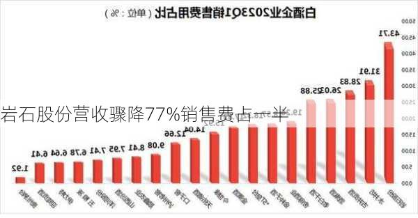 岩石股份营收骤降77%销售费占一半