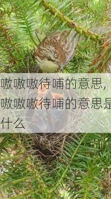 嗷嗷嗷待哺的意思,嗷嗷嗷待哺的意思是什么