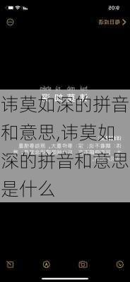 讳莫如深的拼音和意思,讳莫如深的拼音和意思是什么