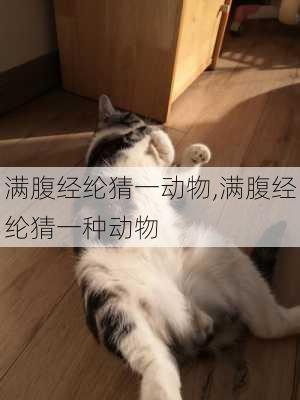 满腹经纶猜一动物,满腹经纶猜一种动物