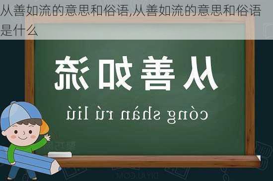 从善如流的意思和俗语,从善如流的意思和俗语是什么