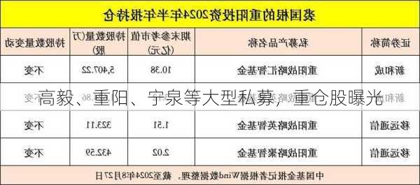 高毅、重阳、宁泉等大型私募，重仓股曝光