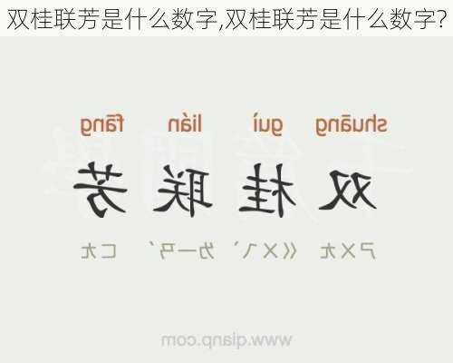 双桂联芳是什么数字,双桂联芳是什么数字?