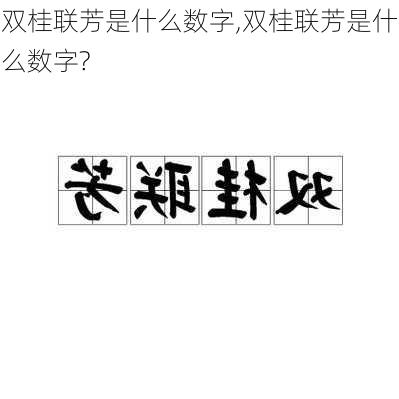 双桂联芳是什么数字,双桂联芳是什么数字?