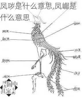 凤哕是什么意思,凤巘是什么意思