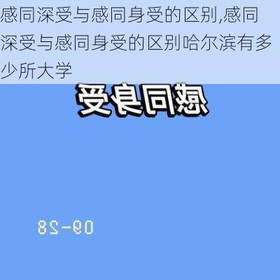 感同深受与感同身受的区别,感同深受与感同身受的区别哈尔滨有多少所大学