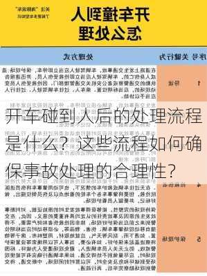 开车碰到人后的处理流程是什么？这些流程如何确保事故处理的合理性？