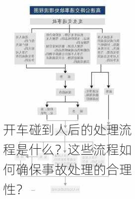 开车碰到人后的处理流程是什么？这些流程如何确保事故处理的合理性？