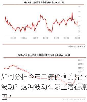 如何分析今年白糖价格的异常波动？这种波动有哪些潜在原因？