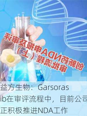 益方生物：Garsorasib在审评流程中，目前公司正积极推进NDA工作