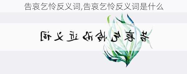 告哀乞怜反义词,告哀乞怜反义词是什么