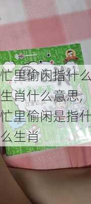 忙里偷闲指什么生肖什么意思,忙里偷闲是指什么生肖