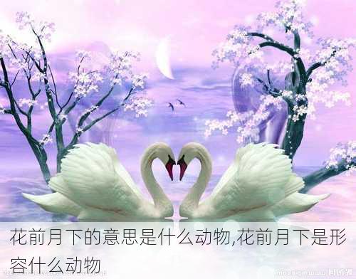 花前月下的意思是什么动物,花前月下是形容什么动物