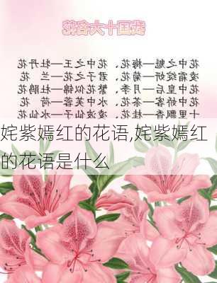 姹紫嫣红的花语,姹紫嫣红的花语是什么