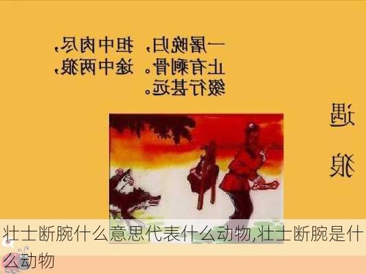 壮士断腕什么意思代表什么动物,壮士断腕是什么动物