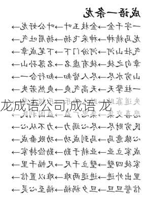 龙成语公司,成语 龙