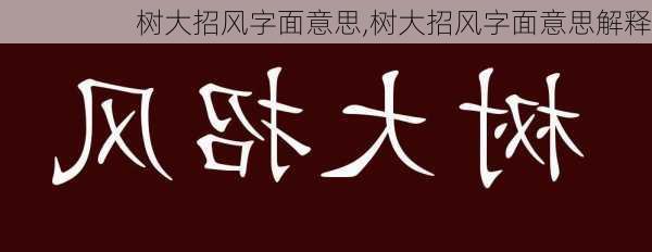 树大招风字面意思,树大招风字面意思解释