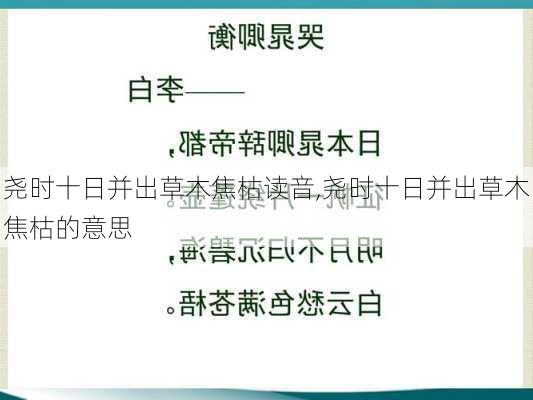 尧时十日并出草木焦枯读音,尧时十日并出草木焦枯的意思