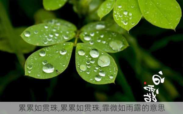 累累如贯珠,累累如贯珠,霏微如雨露的意思