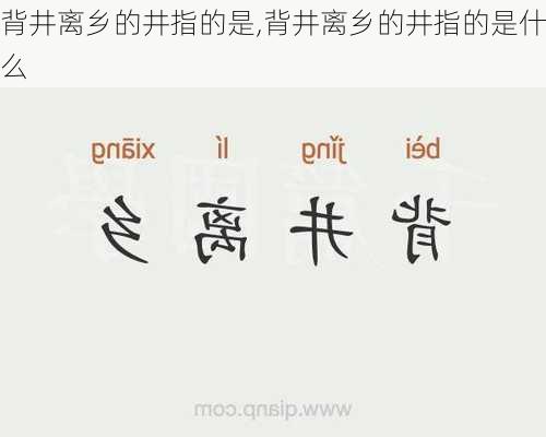 背井离乡的井指的是,背井离乡的井指的是什么