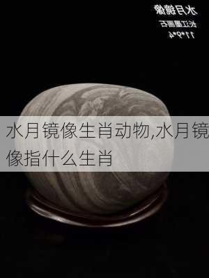 水月镜像生肖动物,水月镜像指什么生肖