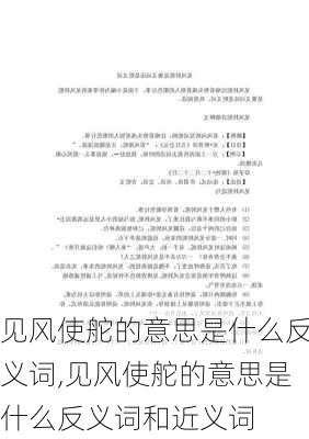 见风使舵的意思是什么反义词,见风使舵的意思是什么反义词和近义词