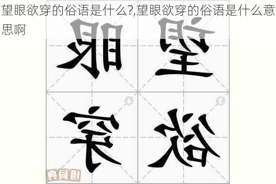 望眼欲穿的俗语是什么?,望眼欲穿的俗语是什么意思啊