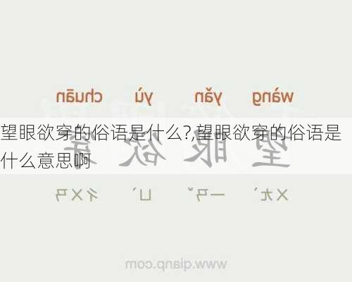 望眼欲穿的俗语是什么?,望眼欲穿的俗语是什么意思啊