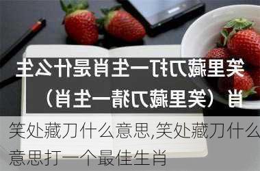 笑处藏刀什么意思,笑处藏刀什么意思打一个最佳生肖