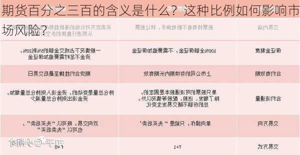 期货百分之三百的含义是什么？这种比例如何影响市场风险？