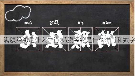 满腹经纶是什么生肖,满腹经纶是什么生肖和数字