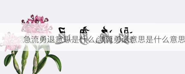 急流勇退意思是什么,激流勇退意思是什么意思