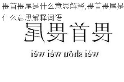 畏首畏尾是什么意思解释,畏首畏尾是什么意思解释词语