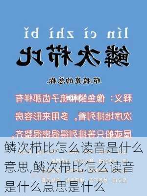 鳞次栉比怎么读音是什么意思,鳞次栉比怎么读音是什么意思是什么