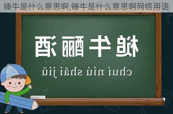 锤牛是什么意思啊,锤牛是什么意思啊网络用语