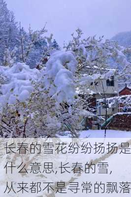 长春的雪花纷纷扬扬是什么意思,长春的雪,从来都不是寻常的飘落