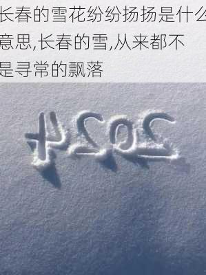 长春的雪花纷纷扬扬是什么意思,长春的雪,从来都不是寻常的飘落