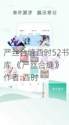 严丝合缝酉时52书库,《严丝合缝》 作者:酉时