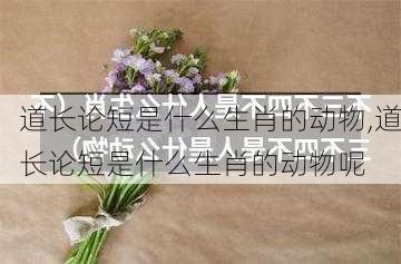 道长论短是什么生肖的动物,道长论短是什么生肖的动物呢