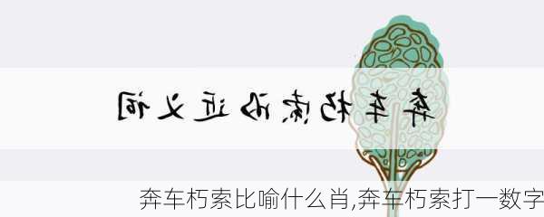 奔车朽索比喻什么肖,奔车朽索打一数字