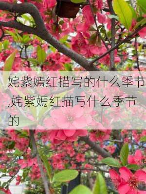 姹紫嫣红描写的什么季节,姹紫嫣红描写什么季节的